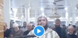 Algérie un chat grimpe sur imam en pleine prière de Tarawih - VIDEO 