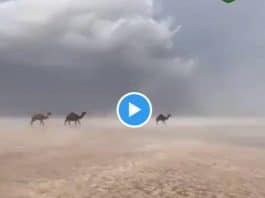 Des torrents d’eaux inondent le désert d'Arabie saoudite - VIDEO