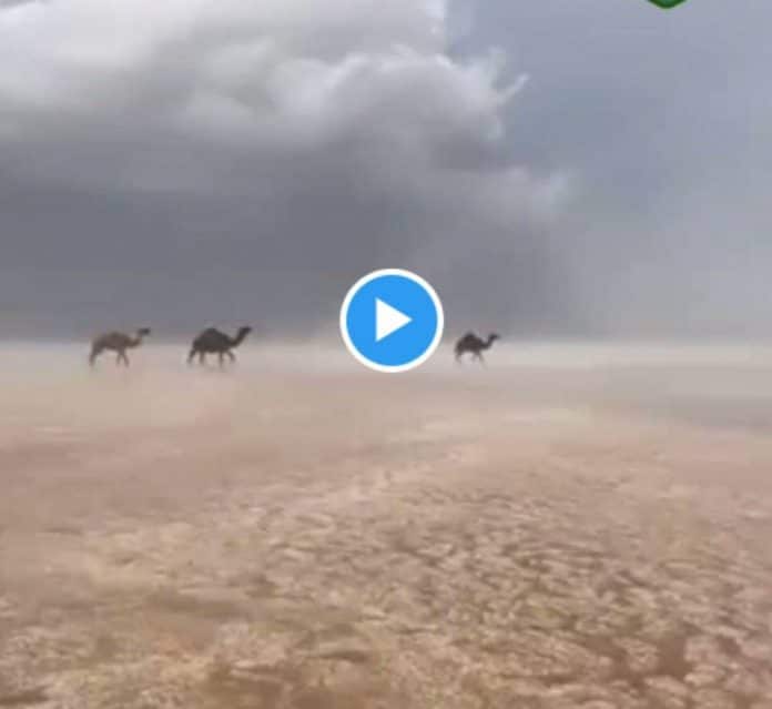 Des torrents d’eaux inondent le désert d'Arabie saoudite - VIDEO