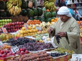 Égypte - l'inflation grimpe à 32,7 % et met la population en difficulté