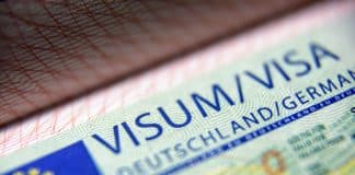 L'Allemagne accorde 6 500 visas aux Syriens et aux Turcs touchés par le séisme