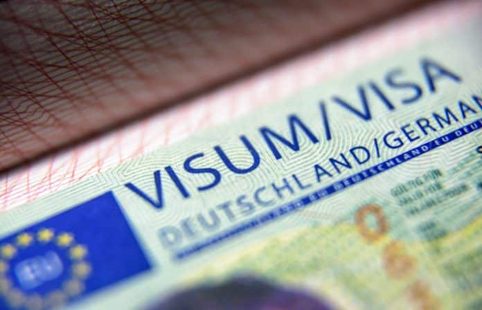L'Allemagne accorde 6 500 visas aux Syriens et aux Turcs touchés par le séisme