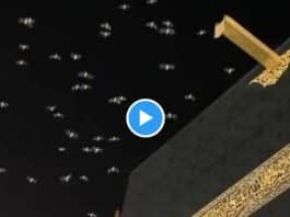 Ramadan des envolées d’oiseaux accomplissent le Tawaf autour de la Kaaba - VIDEO