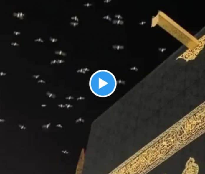 Ramadan des envolées d’oiseaux accomplissent le Tawaf autour de la Kaaba - VIDEO