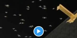 Ramadan des envolées d’oiseaux accomplissent le Tawaf autour de la Kaaba - VIDEO