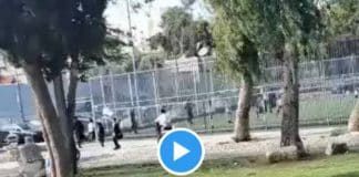 Palestine des colons empêchent des enfants palestiniens de s'amuser dans un parc - VIDEO