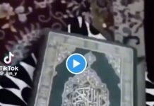 « Allah préserve Son livre » des termites n’osent pas mangé une seule lettre du Noble Coran - VIDEO