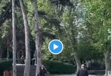Annecy Un homme poignarde 7 personnes dont 6 enfants en bas-âges - VIDEO