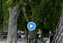 Annecy le terroriste poignarde 4 enfants « au nom de Jésus » - VIDEO