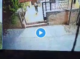Des colons israéliens profanent le Coran et vandalisent une mosquée - VIDEO