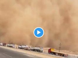 Egypte une tempête de sable géante fait 1 mort et 5 blessés - VIDEO