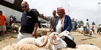 Tunisie - l'inflation laisse les moutons hors de portée de nombreux musulmans