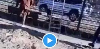 Un journaliste dénonce le trafic de drogues de policiers israéliens à la frontière égyptienne - VIDEO