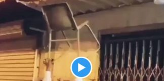 Un musulman aide un chat apeuré coincé sur un toit - VIDEO