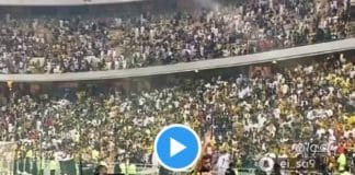 Un supporteur saoudien jette son téléphone sur le terrain, Benzema fait alors un selfie - VIDEO