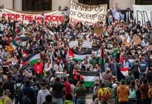 La Harvard Law School suspend 60 étudiants pour une manifestation pro-palestinienne