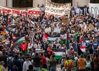La Harvard Law School suspend 60 étudiants pour une manifestation pro-palestinienne