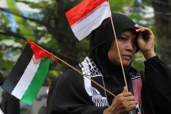 Femme brandit drapeau palestinien