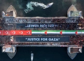 Des milliers de personnes ont défilé en Turquie pour soutenir Gaza le jour du Nouvel An.
