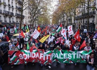 Rassemblement à Paris pour les Palestiniens et victimes de répression