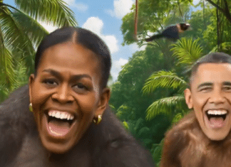 Trump critiqué pour avoir publié une vidéo raciste sur les Obama