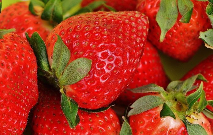 Fraises pesticides