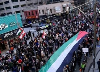 Manifestation pro-Palestine à Toronto : des milliers de personnes