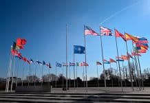 Finlande: refus de la demande américaine d’intervention navale dans le détroit d’Ormuz