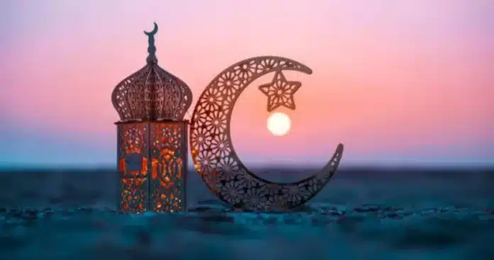 untitled-2026-01-05t165229687_ax8b.1248