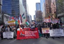 Le soutien à Israël chute aux États-Unis