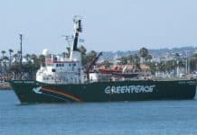 Gaza : Greenpeace rejoint une flottille humanitaire