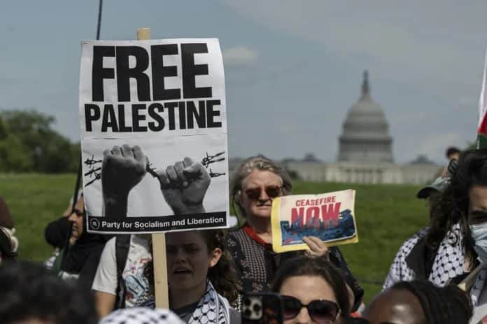 manifestants pro palestine