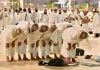 Hajj 2026 : 1,7 million de pèlerins à La Mecque