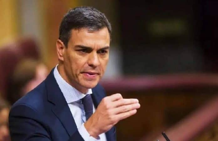pedro sanchez