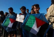 Gaza : quand la peur devient irrationnelle